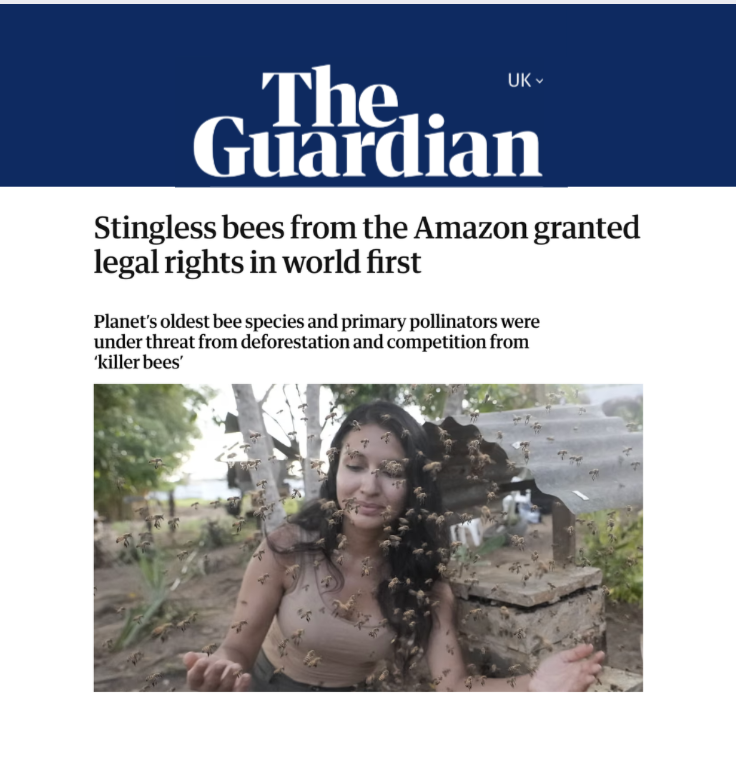 Screenshot 2026-01-13 at 13.12.01.png