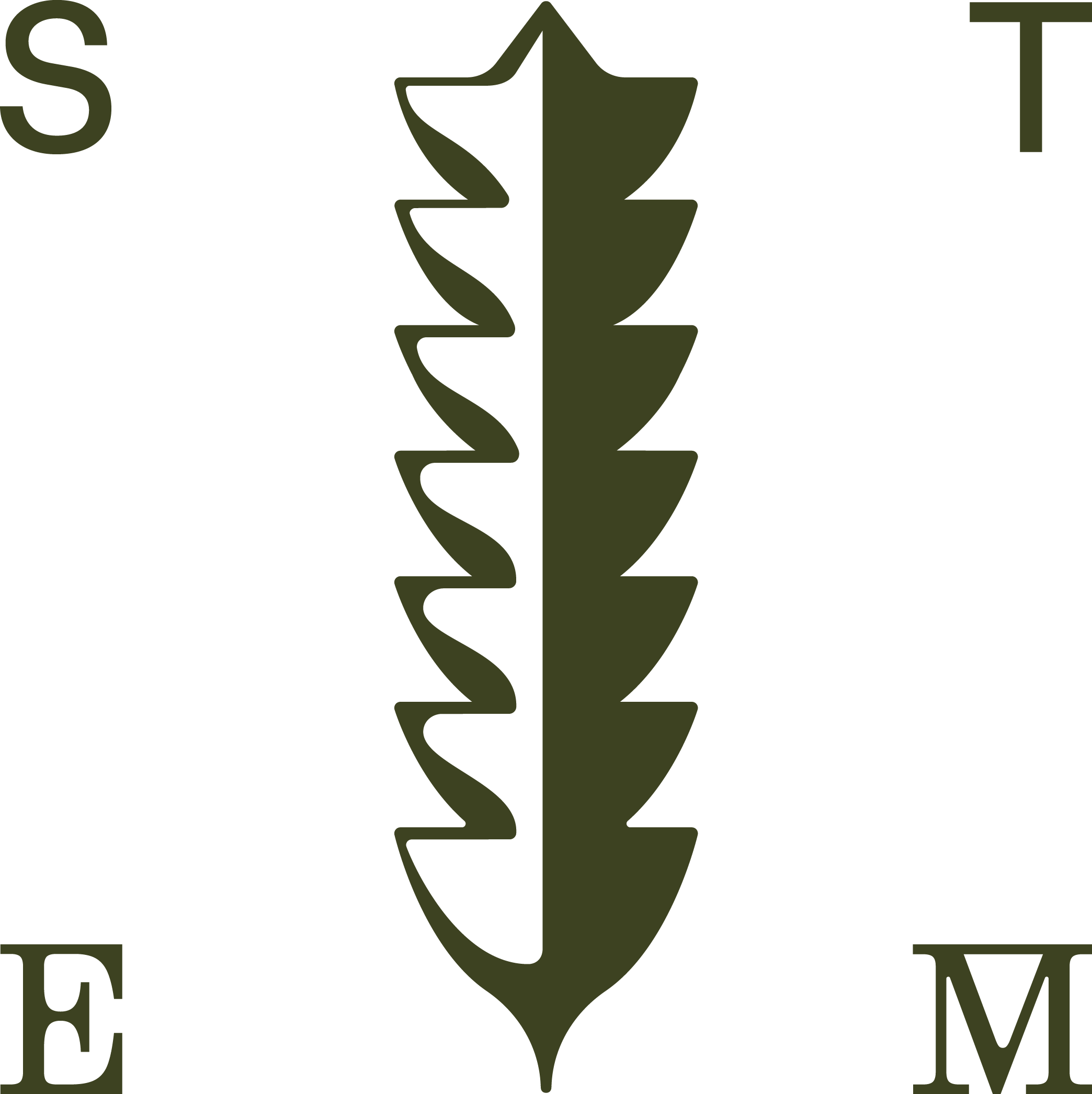 STEM_Symbol_Banksia_Serrata_Green.png