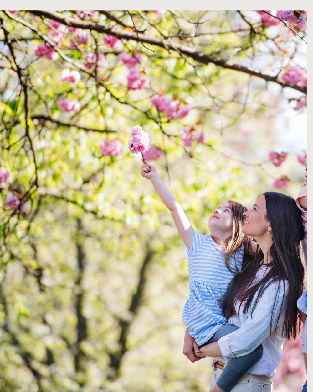 Spring Allergies The Pediatrician Mom