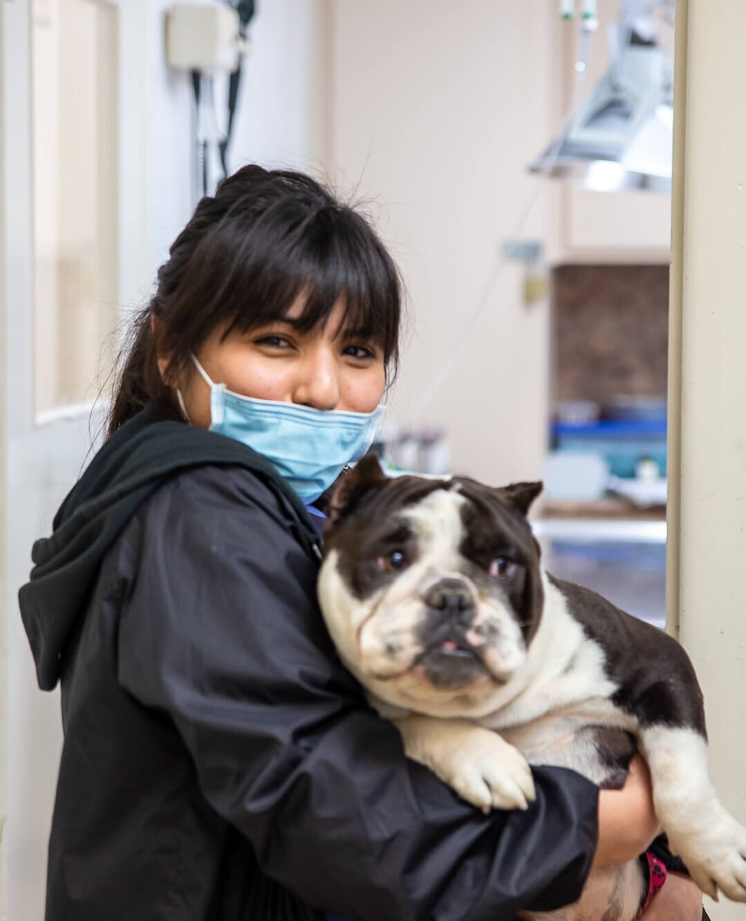 Loma Linda Animal Hospital - San Bernardino, CA