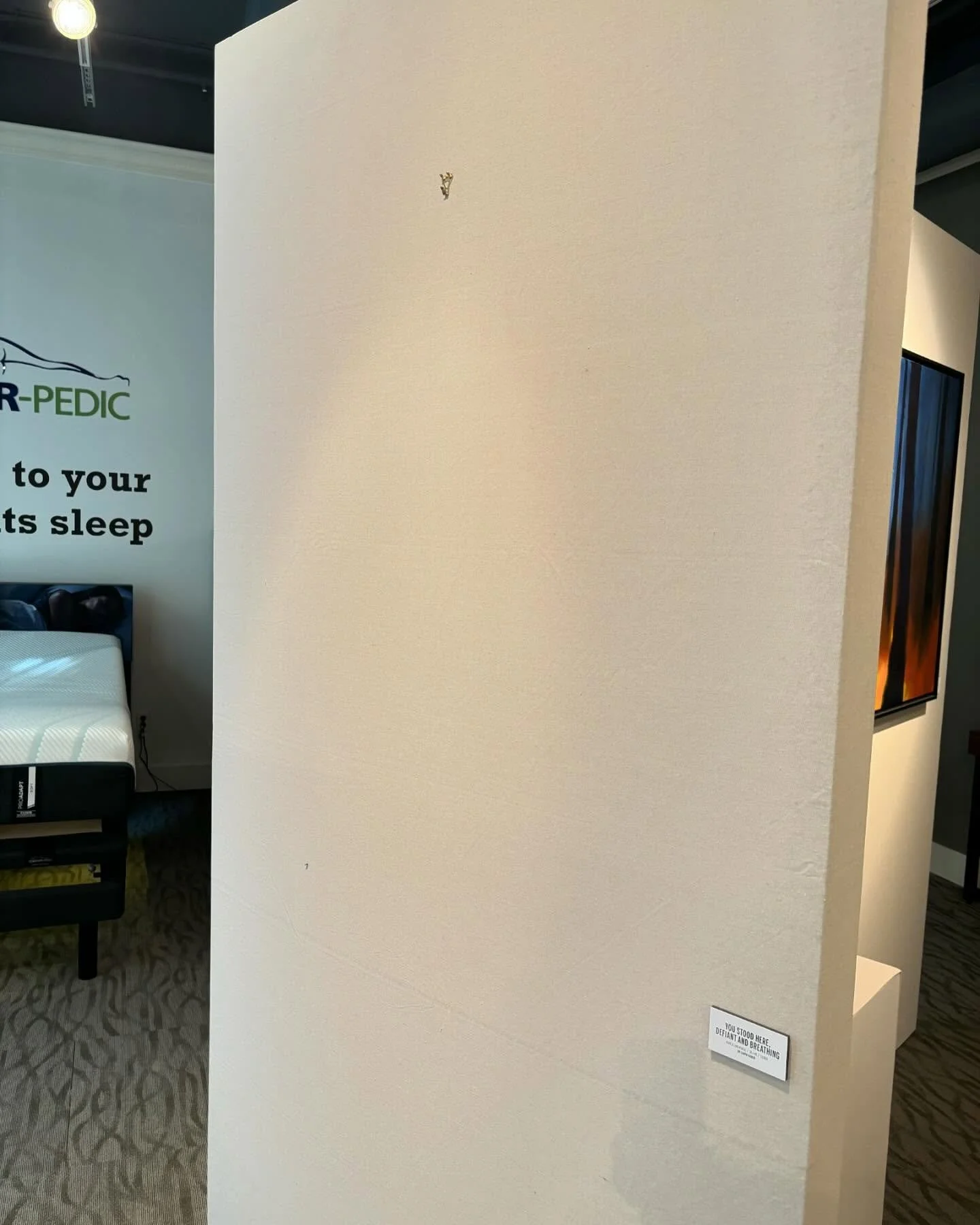 And that is a photo of my largest painting SOLD at @seldensdesign &lsquo;s &ldquo;Artistry of the Pacific Northwest&rdquo; reception! Has such a great time and the buyers of my painting totally made my day with how much they loved it.
.
.
#Abstractar
