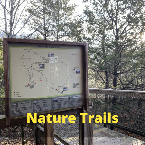 About — Talking Rocks Cavern