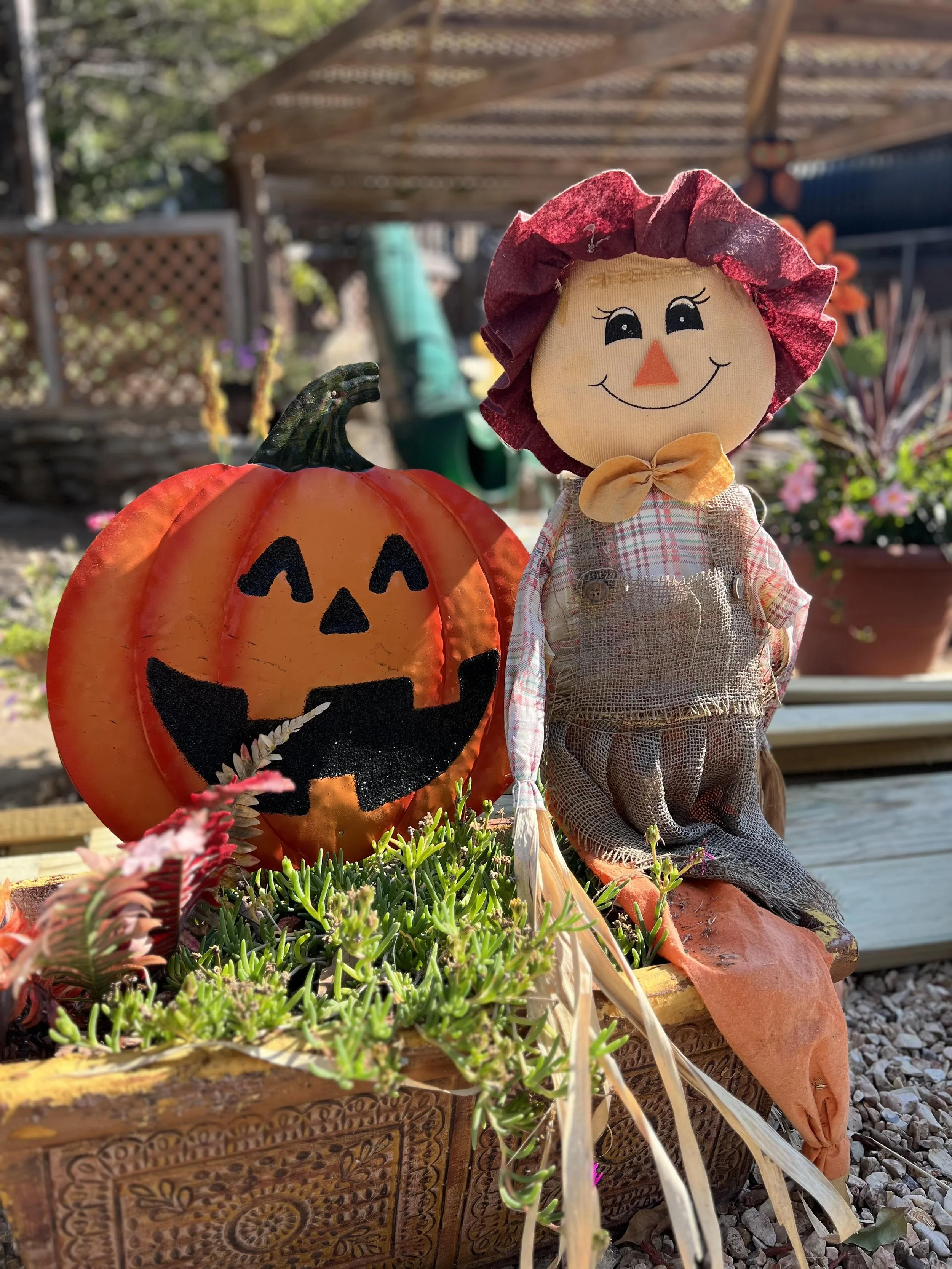 falldecortr.jpg