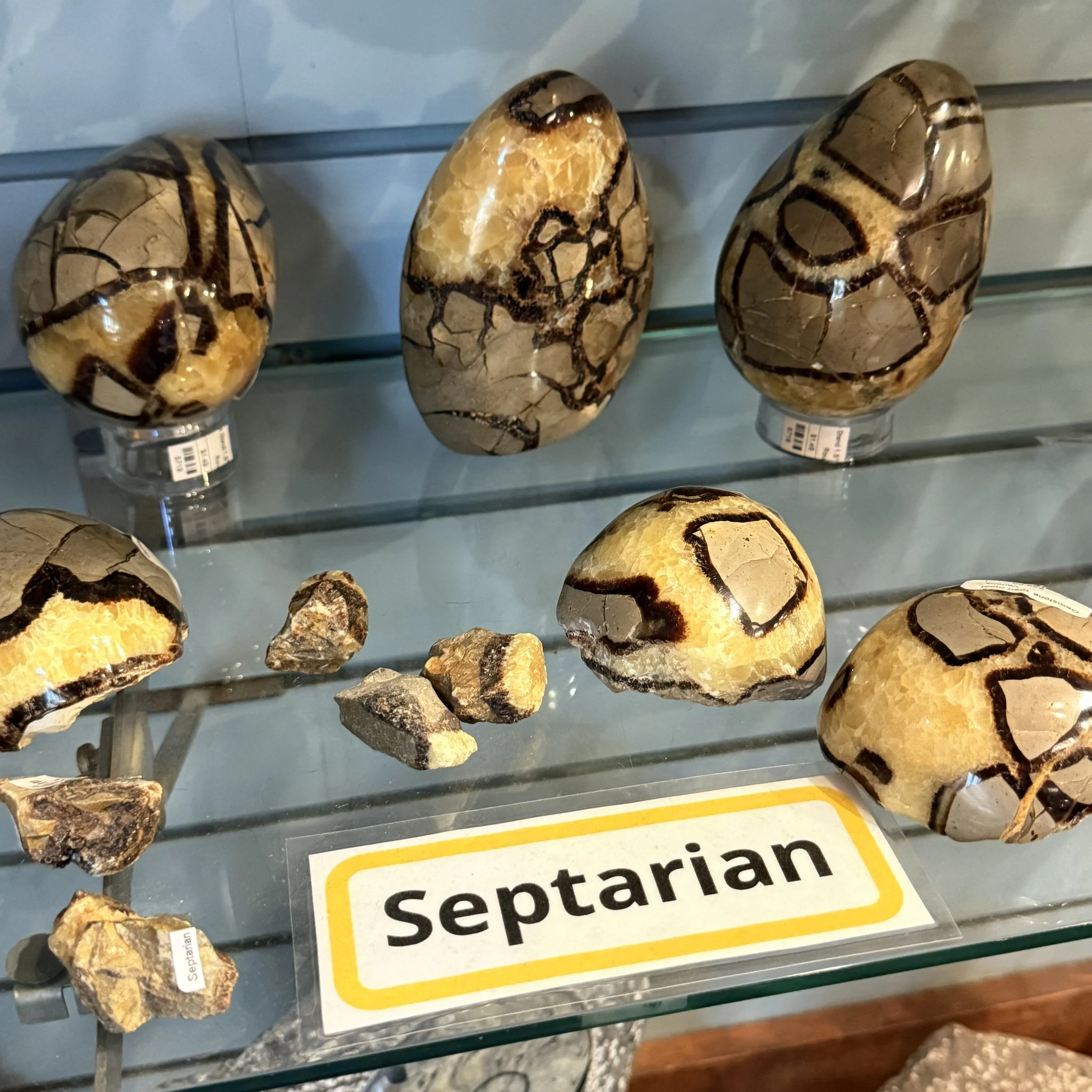 Septarian