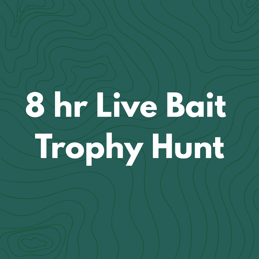 Squarespace Services.png