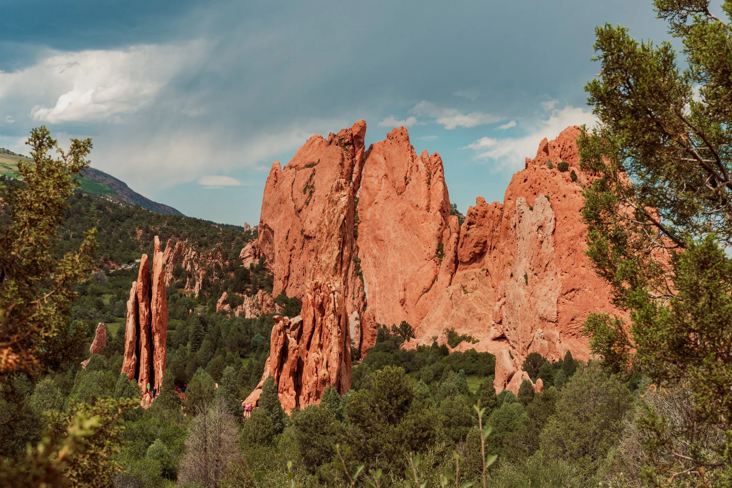 Sunday Snapshot 7_072323_025.jpg