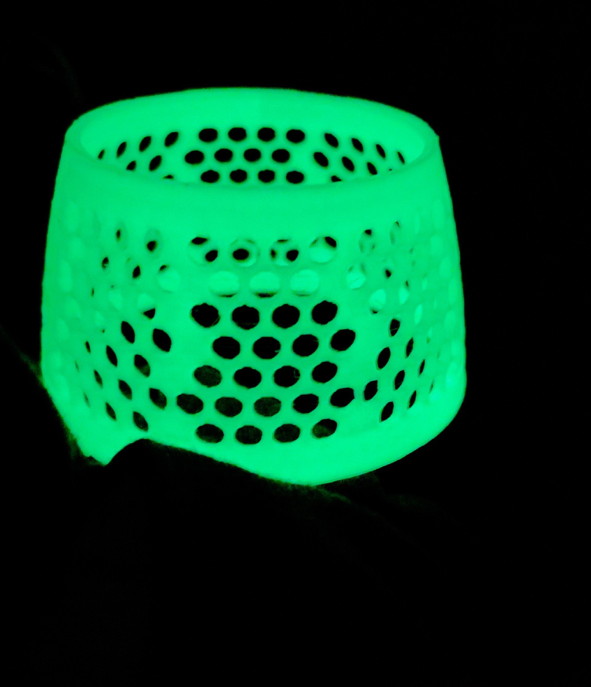 Glow in the dark echo tech anemone guard.jpg
