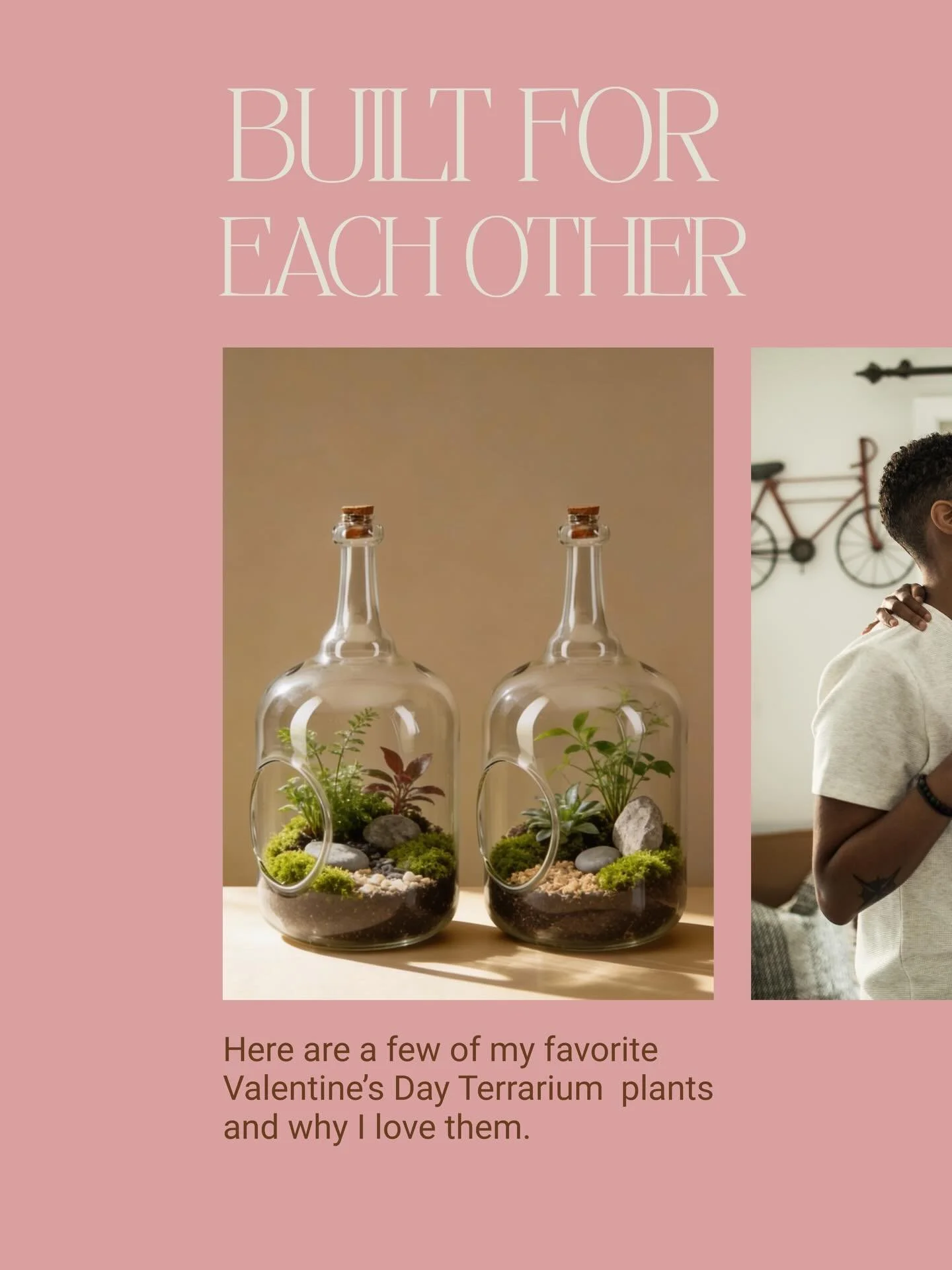 Love doesn&rsquo;t look the same for everyone.
Neither does the way we choose to show care.

If any of these plants resonated with you, you might love 

Built for Each Other, our Valentine&rsquo;s couples terrarium workshop. 

It&rsquo;s a guided, ha