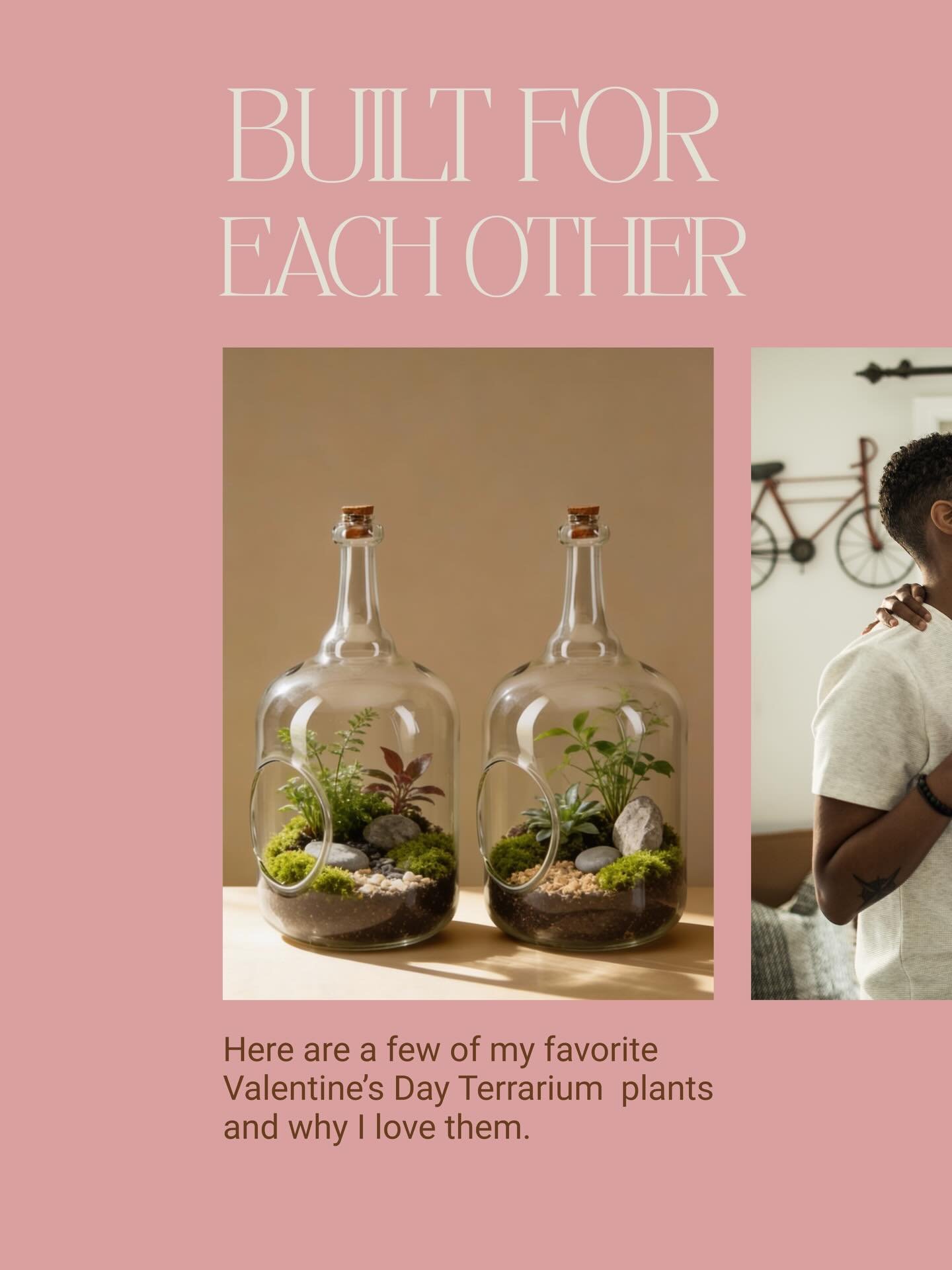 Love doesn&rsquo;t look the same for everyone.
Neither does the way we choose to show care.

If any of these plants resonated with you, you might love 

Built for Each Other, our Valentine&rsquo;s couples terrarium workshop. 

It&rsquo;s a guided, ha
