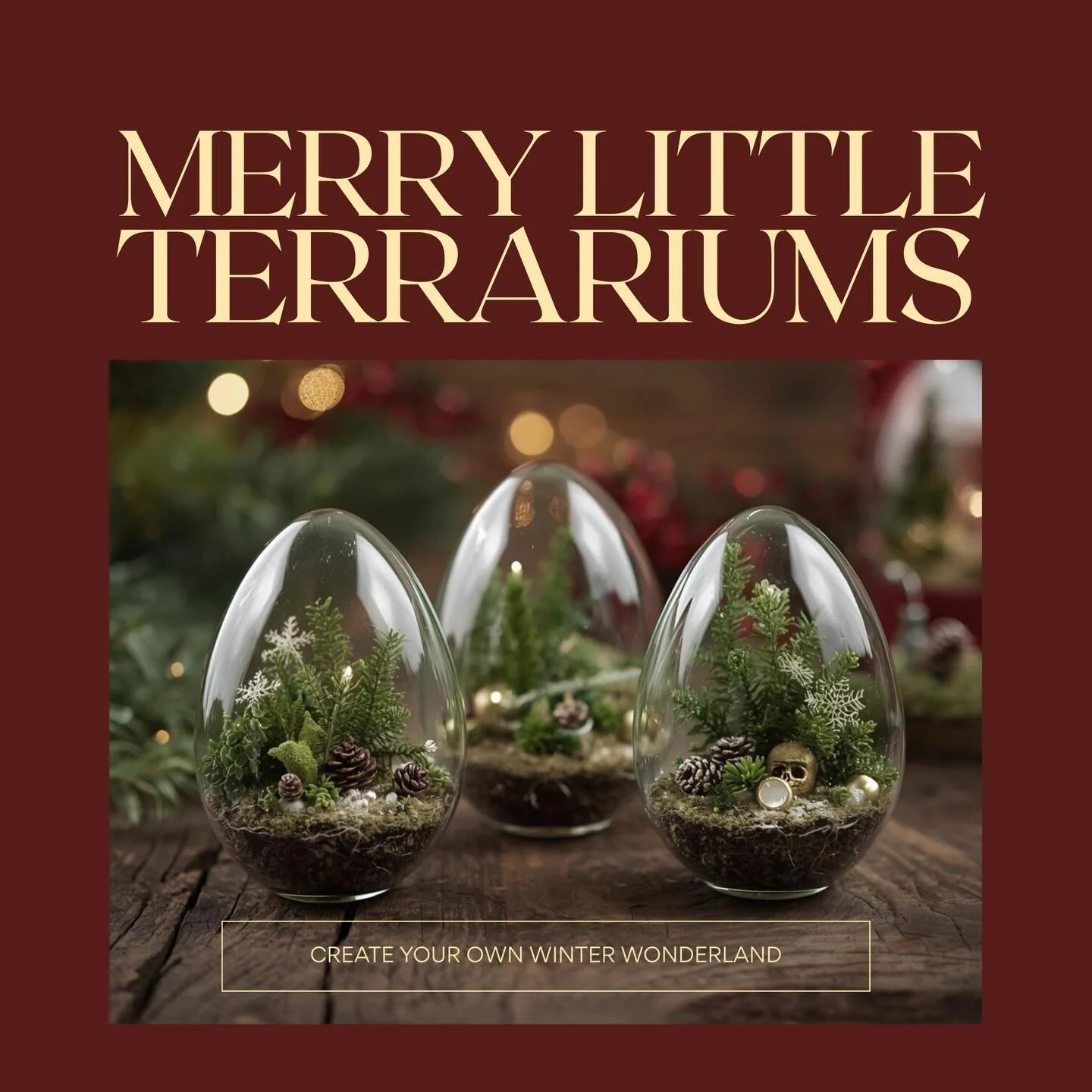 Ready to get cozy and creative this holiday season?
 Join us for Merry Little Terrariums and create a set of three Holiday themed tabletop terrariums. Each one will be unique, festive, and filled with holiday magic. 🌿❄️

You can keep your terrariums