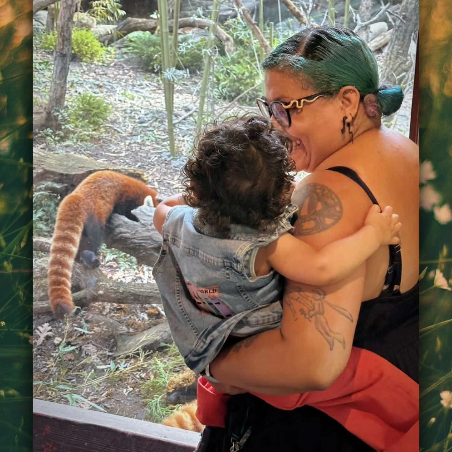 Today we went to the @mnzoo with @schmistopher to ooh and aww over the red pandas. The zoo was weirdly quiet today so all of the animals were out in the open incredibly active. I think little Mr Max was our good luck charm.