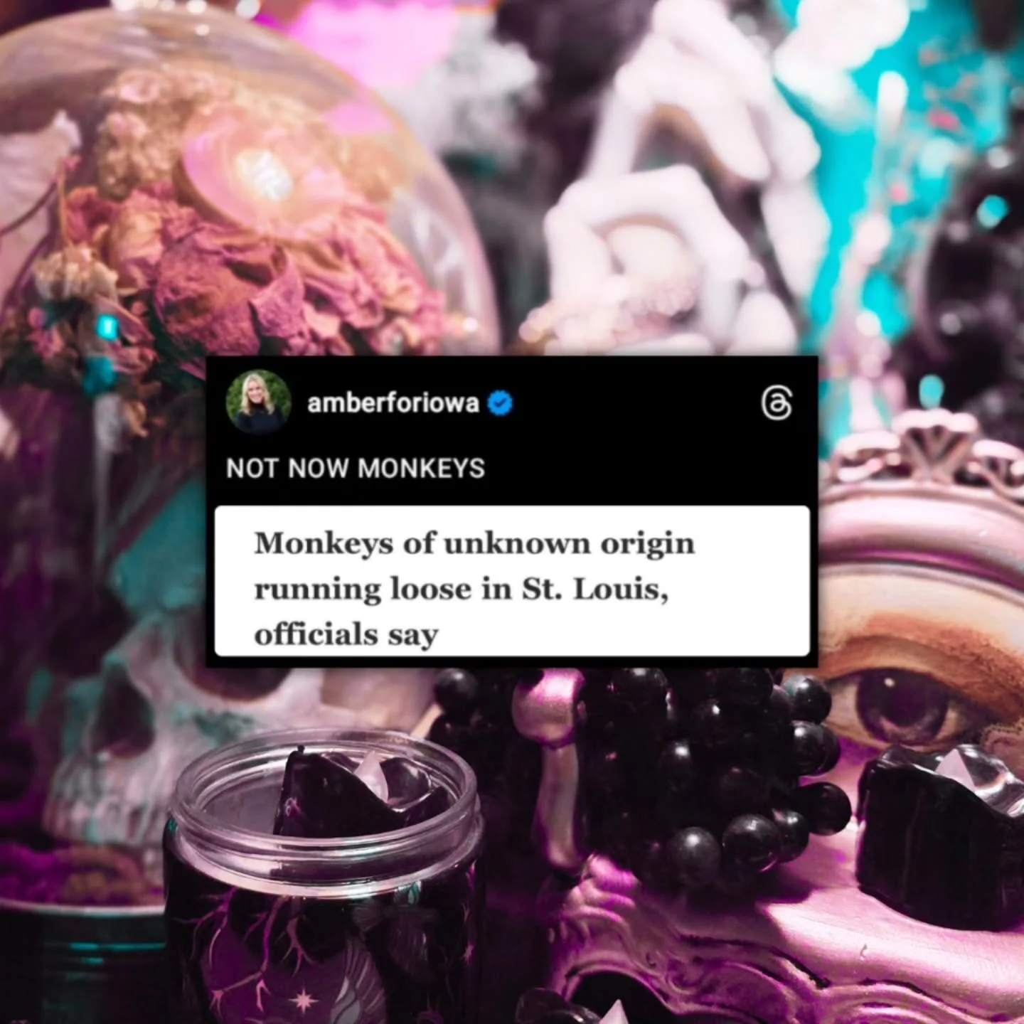 I tagged a couple of accounts that I follow at the very end so if you need up-to-date video or interviews with people out in the streets, check them out okay? And donate where you can.

I'm so tired you guys. Just like emotionally and existentially. 