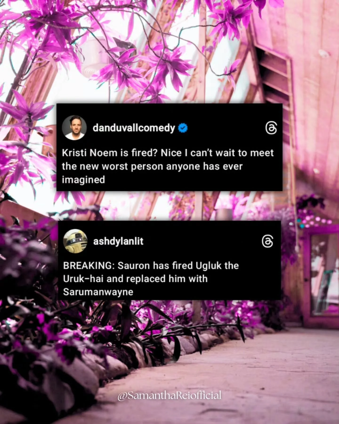 The sun is out today and I don't hear any helicopters and I feel like those two things alone are a win. What's something beautiful that you've been able to focus on today? Even the tiniest thing. Hold it gently, don't smother it. Let it thrive and he