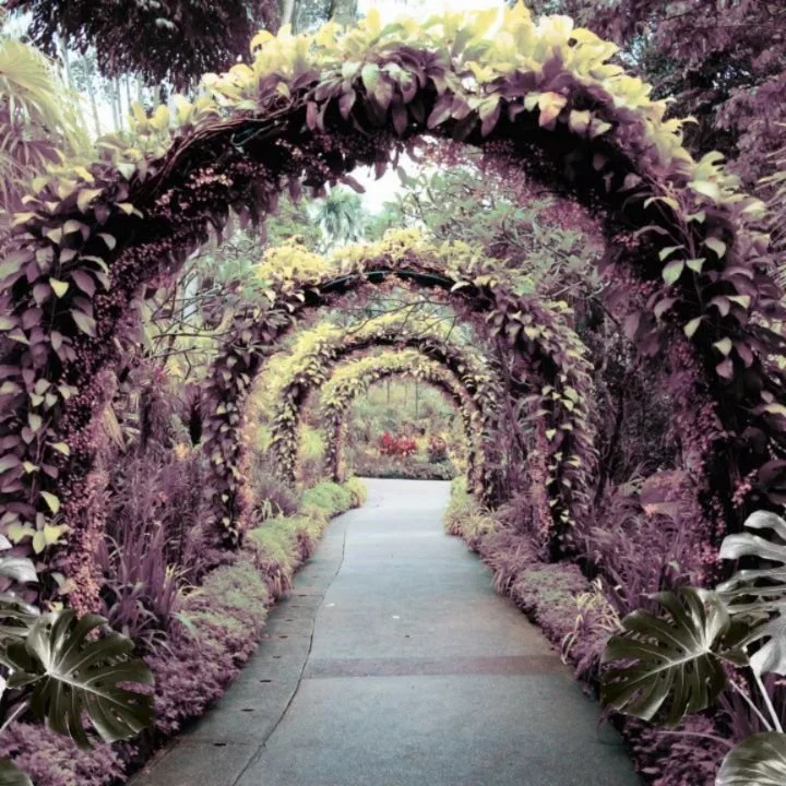 I've gotten to work making a few of these adorable plant inspired capelets! I'm so happy that people like them! 🔗 In the bio if you need one in your life 🌿 we're so close to warm weather, let's celebrate spring!