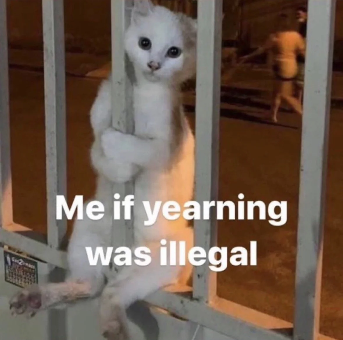 All the real yearners, come to the front