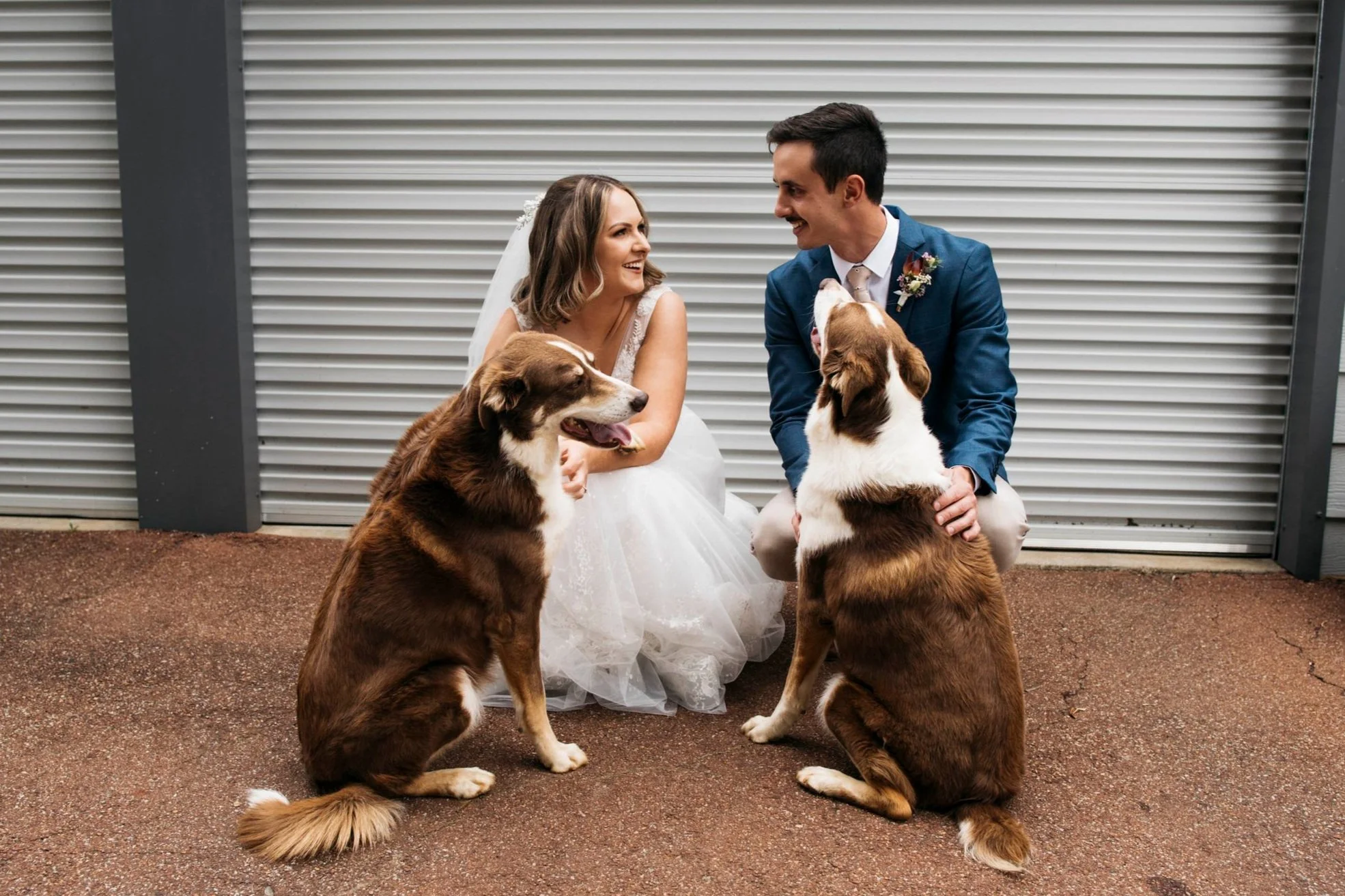 A bride and groom smiling at each other while kneeling on a brick ground, with two dogs sitting in front of them.