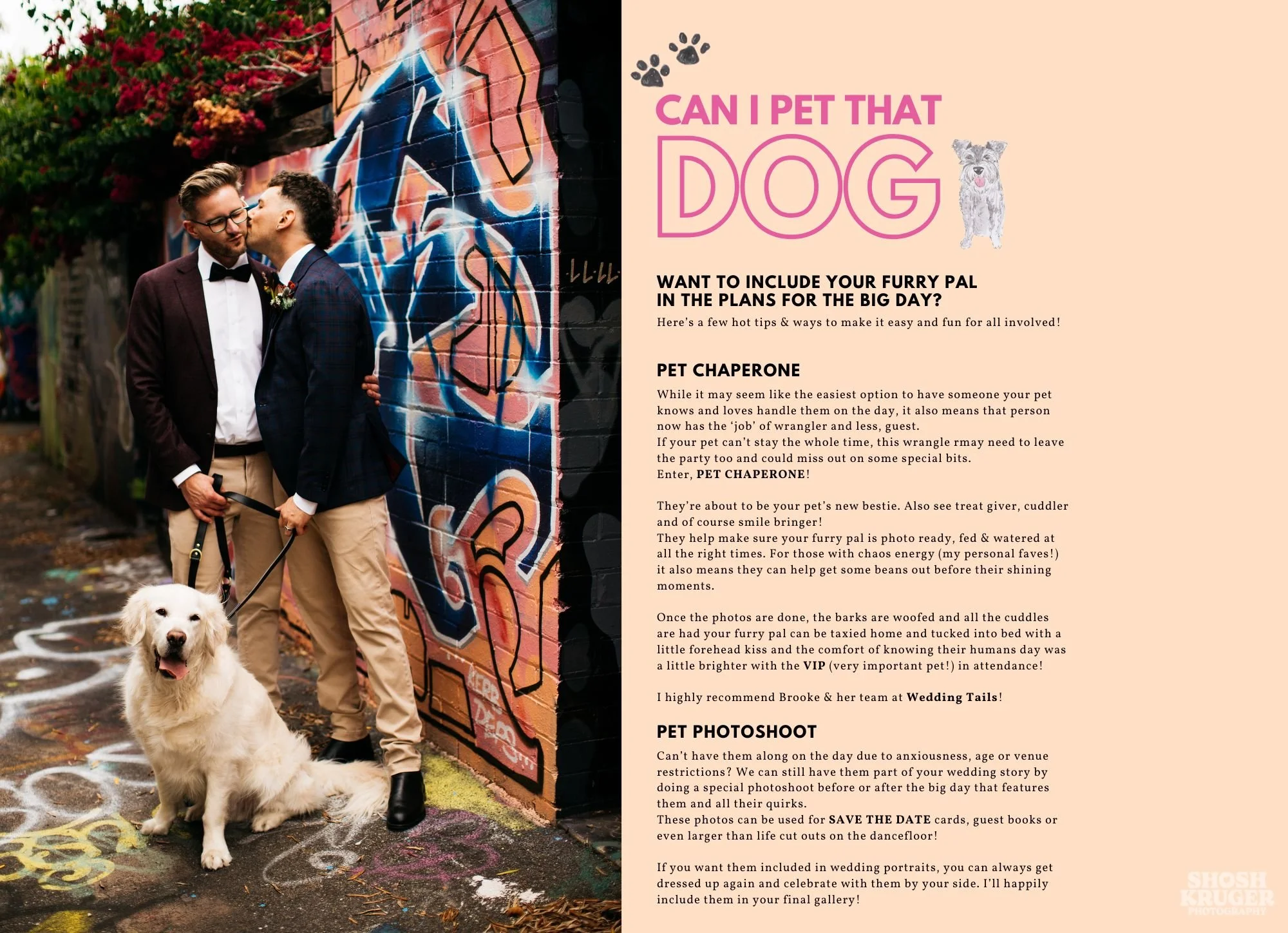 10 BRING YOUR PET.jpg