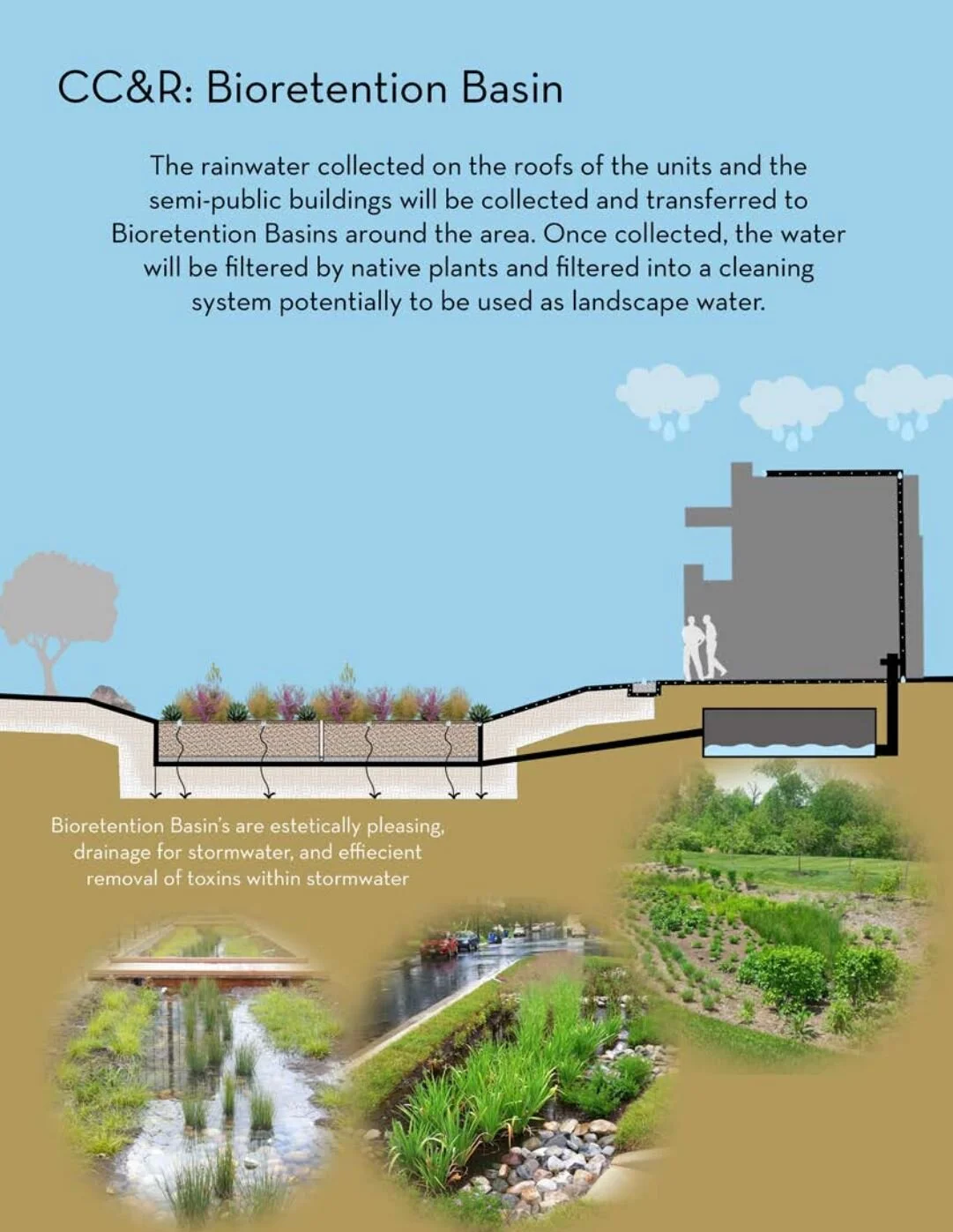 CC&R: Bioretention Basins are placed all around the community to support water filtration