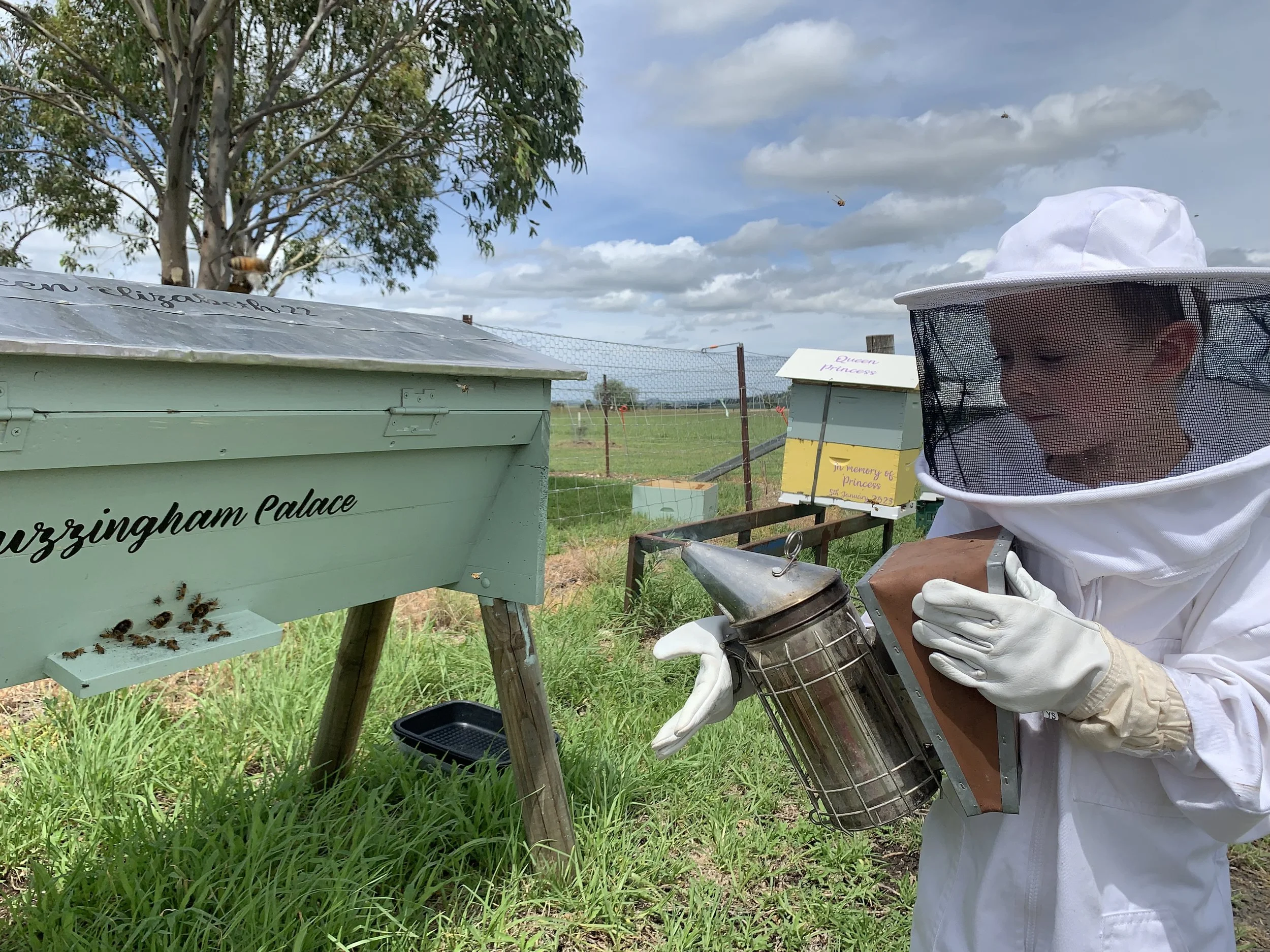 🐝Group Honey Harvest Experience