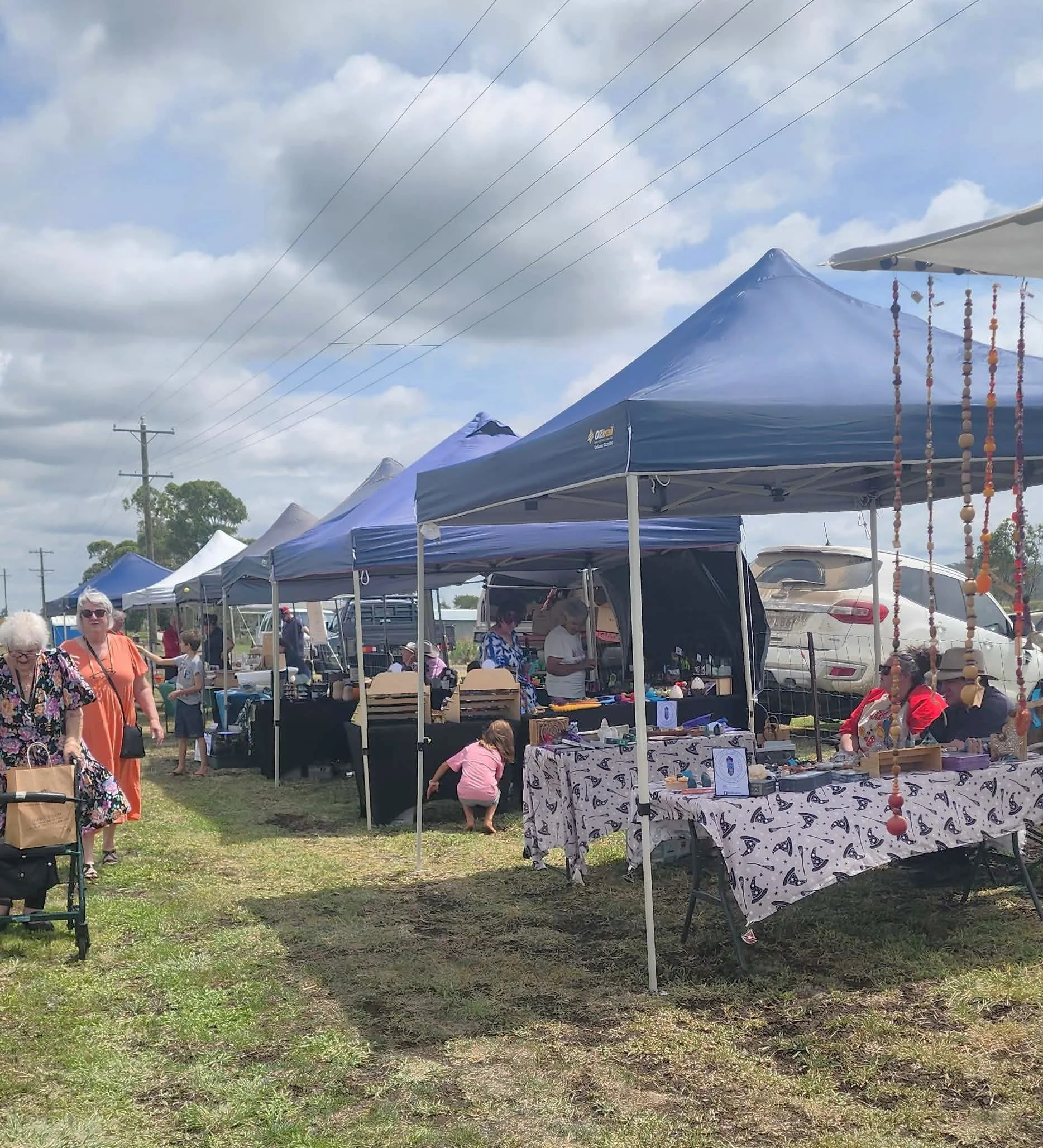 🪻In Bloom Picnic Day!