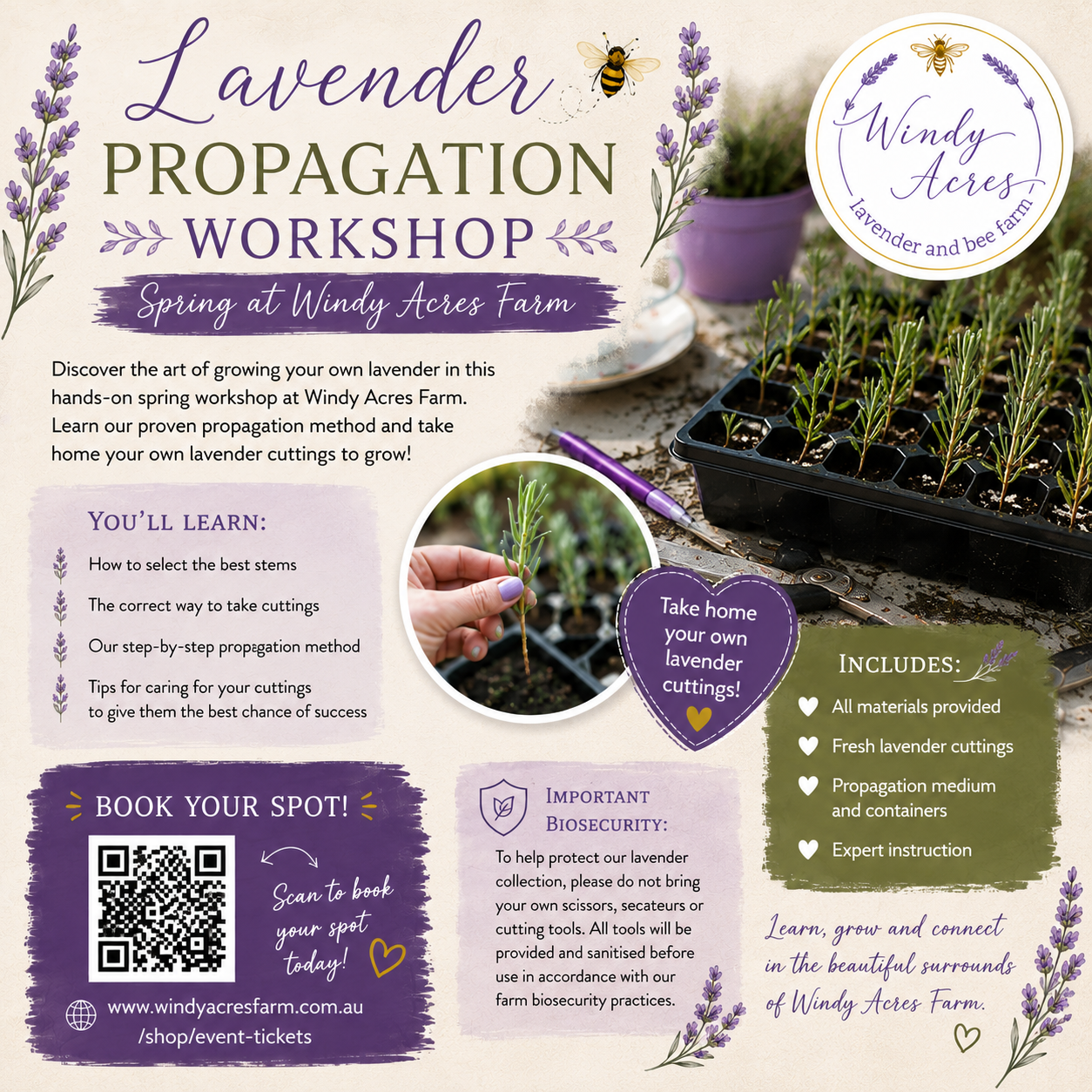 🪻Lavender Propagation Workshop