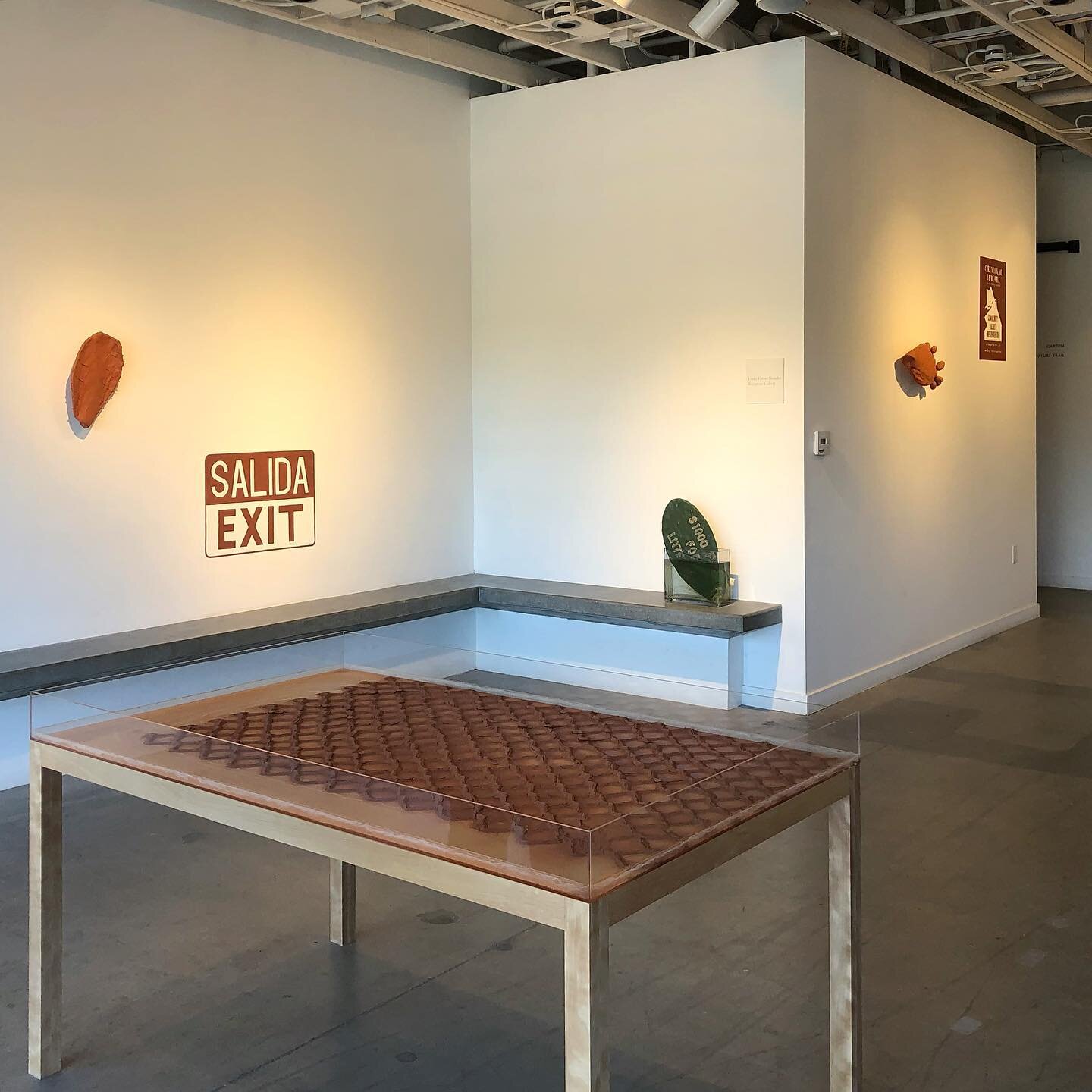 Took a little day trip to San Diego to check out the latest shows at @icasandiego, including their newest additional location formerly known as the Lux Art Institute. Totally appreciated the current show on view with @pimienta323! Loved all the nopal