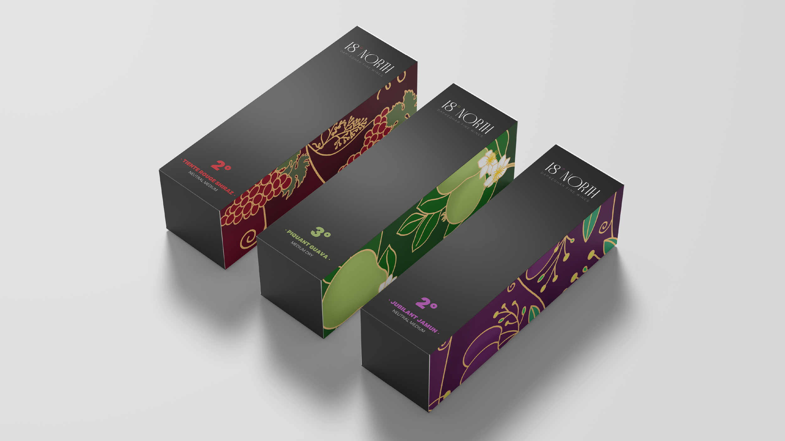 18° North - Mockups-04.png