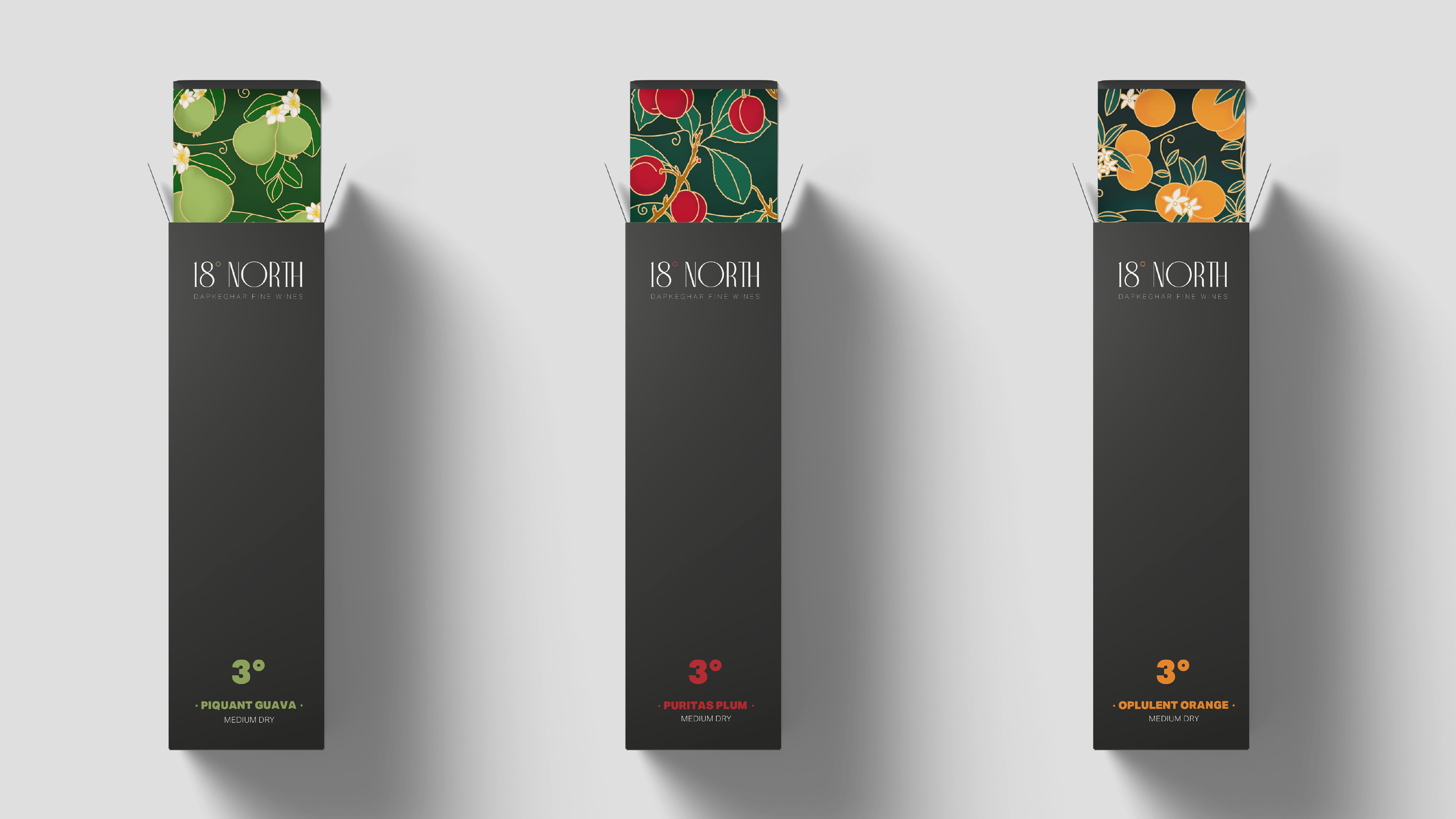 18° North - Mockups-03.png