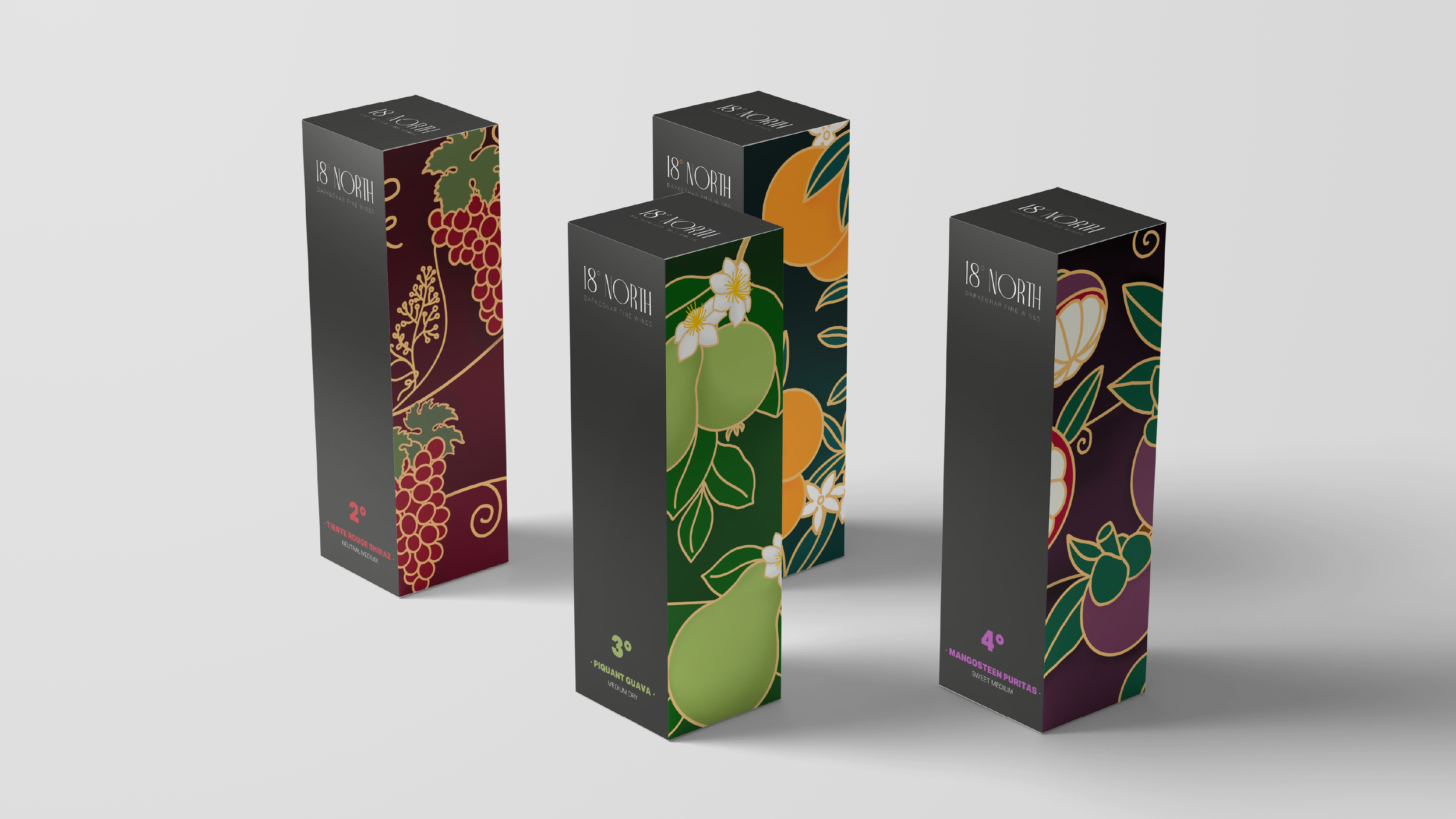 18° North - Mockups-01.png