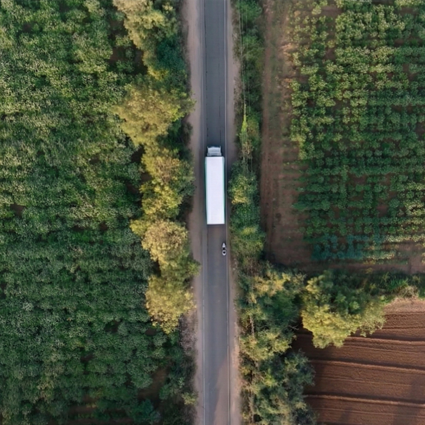 LaneShift | The Climate Pledge & C40 Cities -  SDG 13 | Film | Production | Fixers | Travel