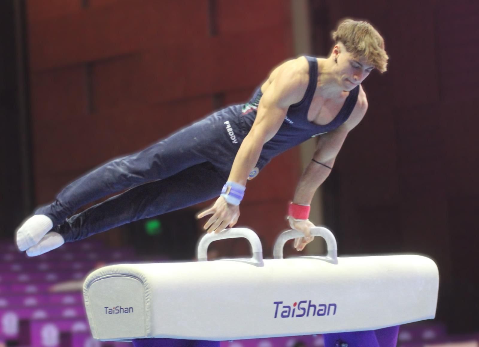 Simone Speranza, Pferd.jpg