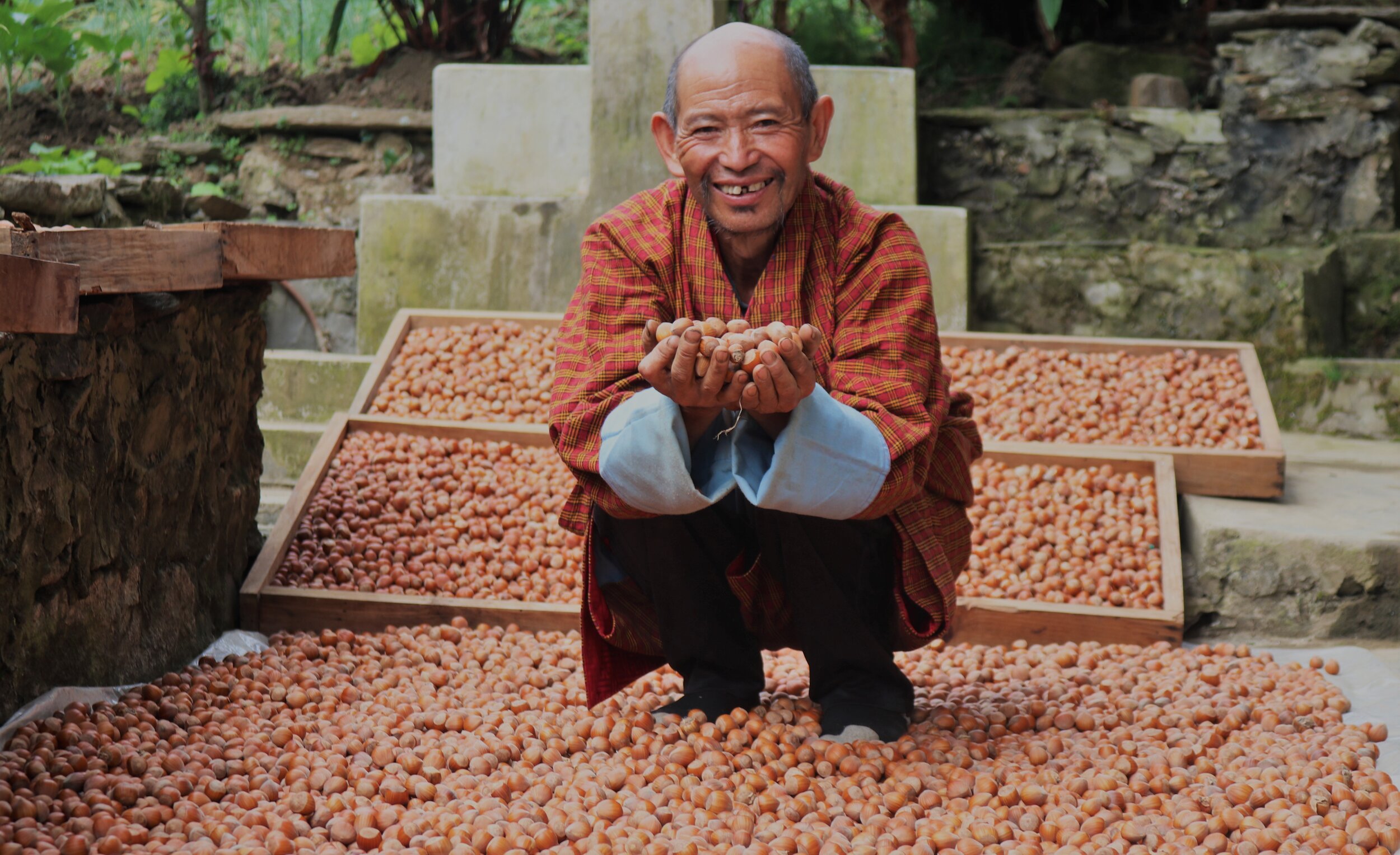 Bhutan’s Mountain Hazelnuts: a transformative model in a remarkable part of the world