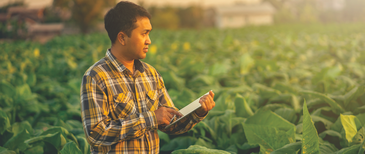 Management Practices: The Key to Overcome Internal Barriers and Bring Inclusive Business to Scale? 