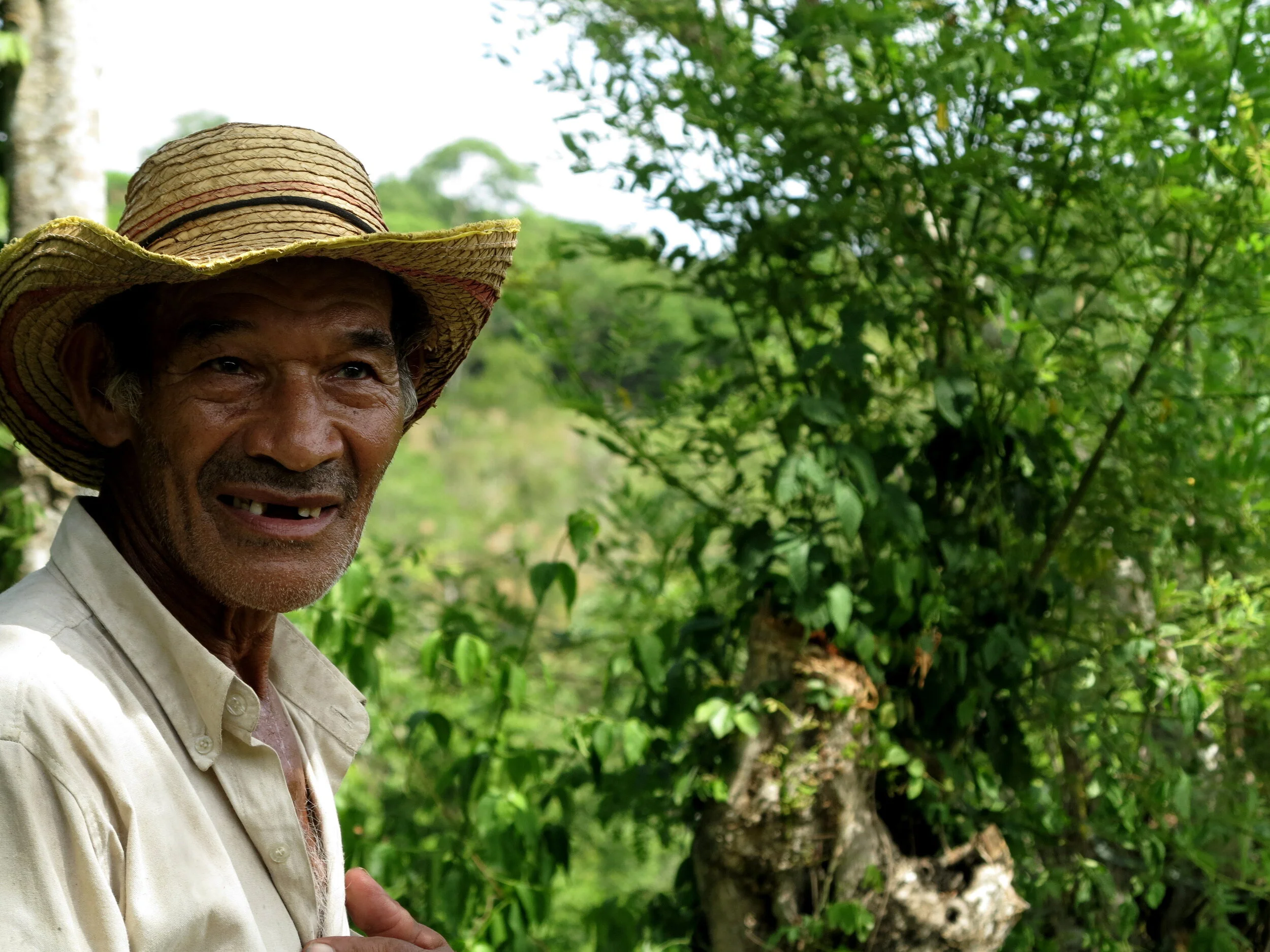 Boosting farmers’ income while strengthening climate resilience in Colombia