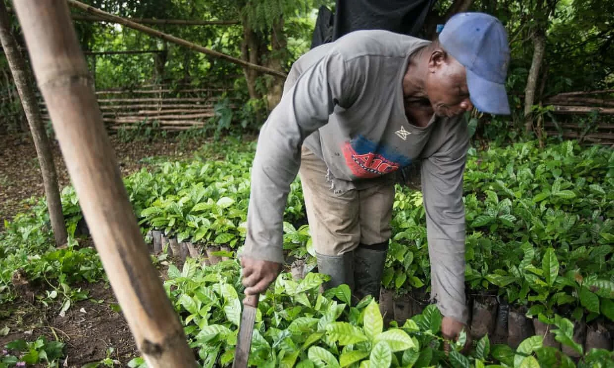 Will the march of AI be a bane or boon for global development?