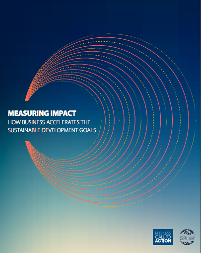 What does private sector need in terms of an enabling environment to more strategically contribute to the SDGs?