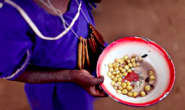 Member spotlight: Envirofit International