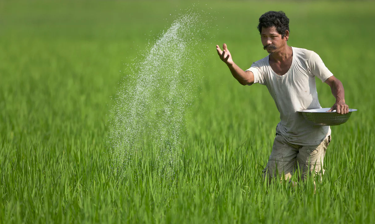 Participate in the Global Platform on Inclusive Business survey