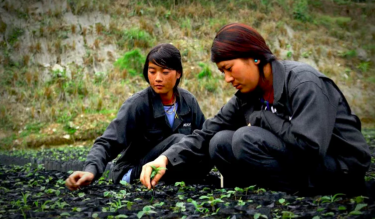 Is your company ready to engage with the SDGs through inclusive business?