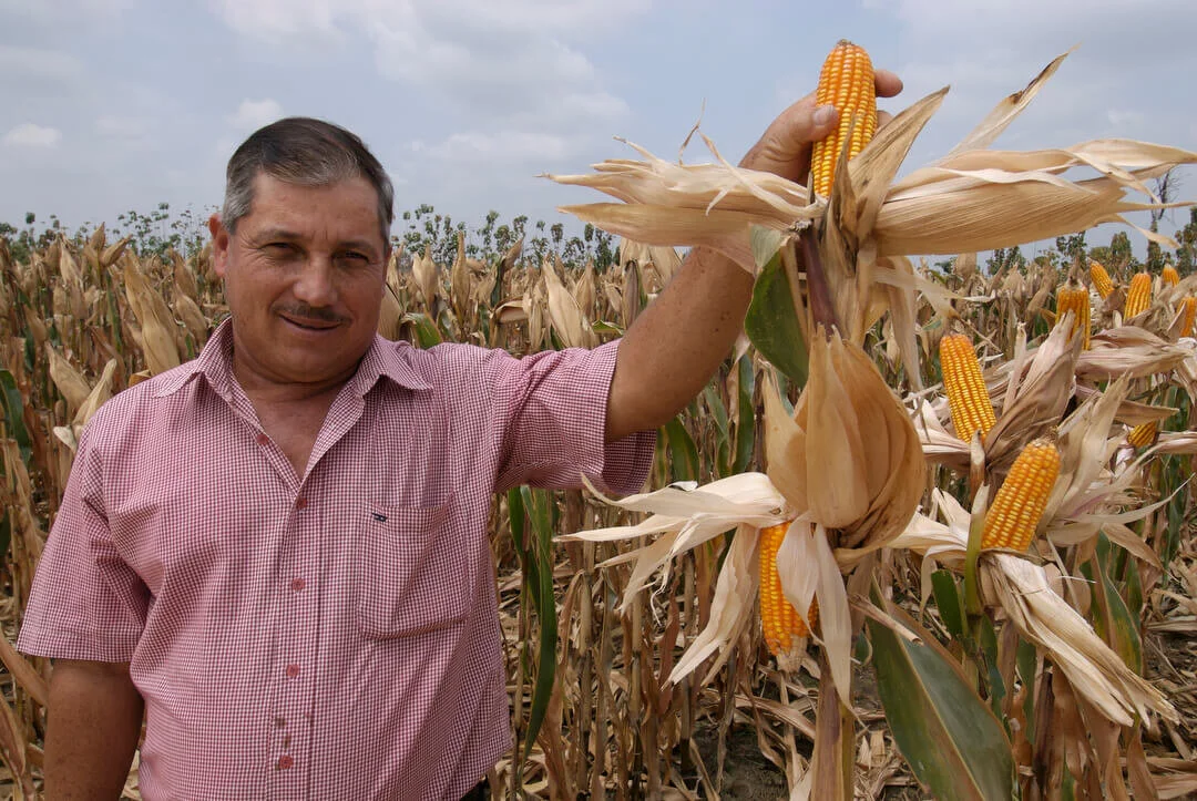 Webinar Recording: Impact and SDGs