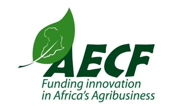 AECF Offering Funding up to $1.5 M for Innovative Business Ideas