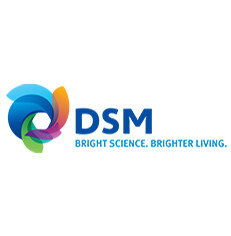 DSM_Logo2.jpg