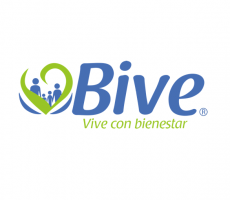 Bive Logo 2.png