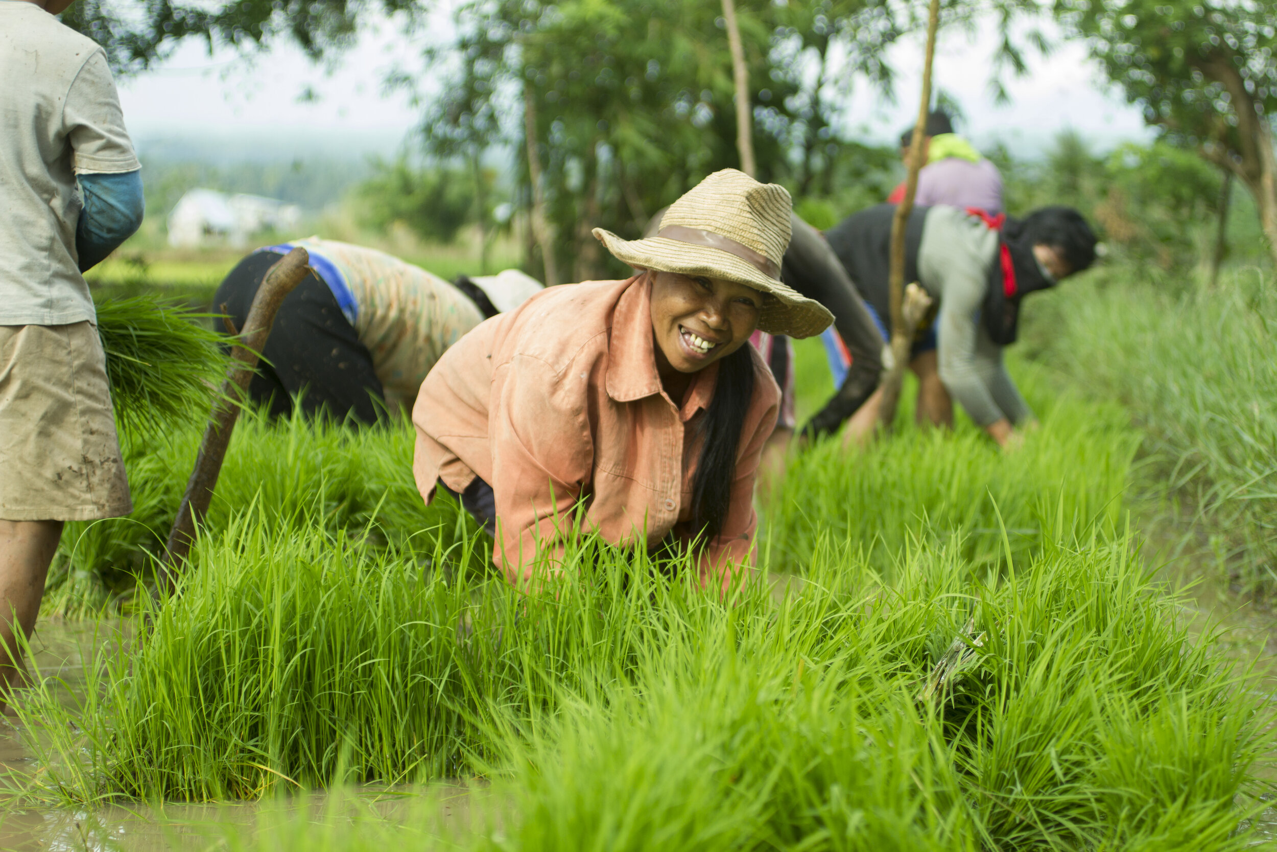 Unleashing Potential: Agribusiness and the Smallholder Farmer