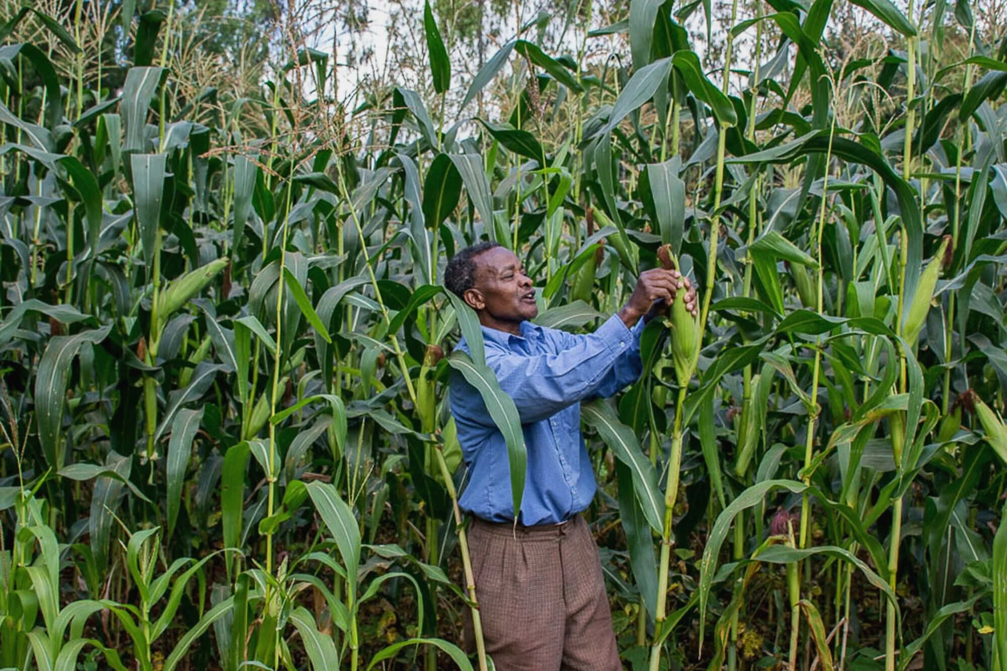 Investors' Summit on Social Investing and Social Enterprise in Africa