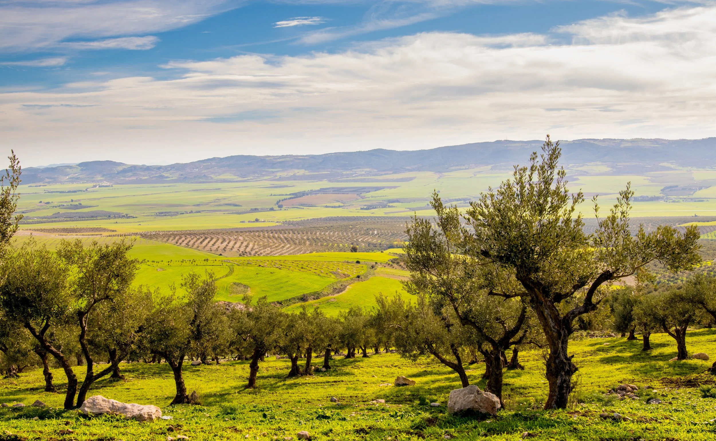 Call for applications on tech-based solutions in Tunisia to combat water shortages caused by climate change