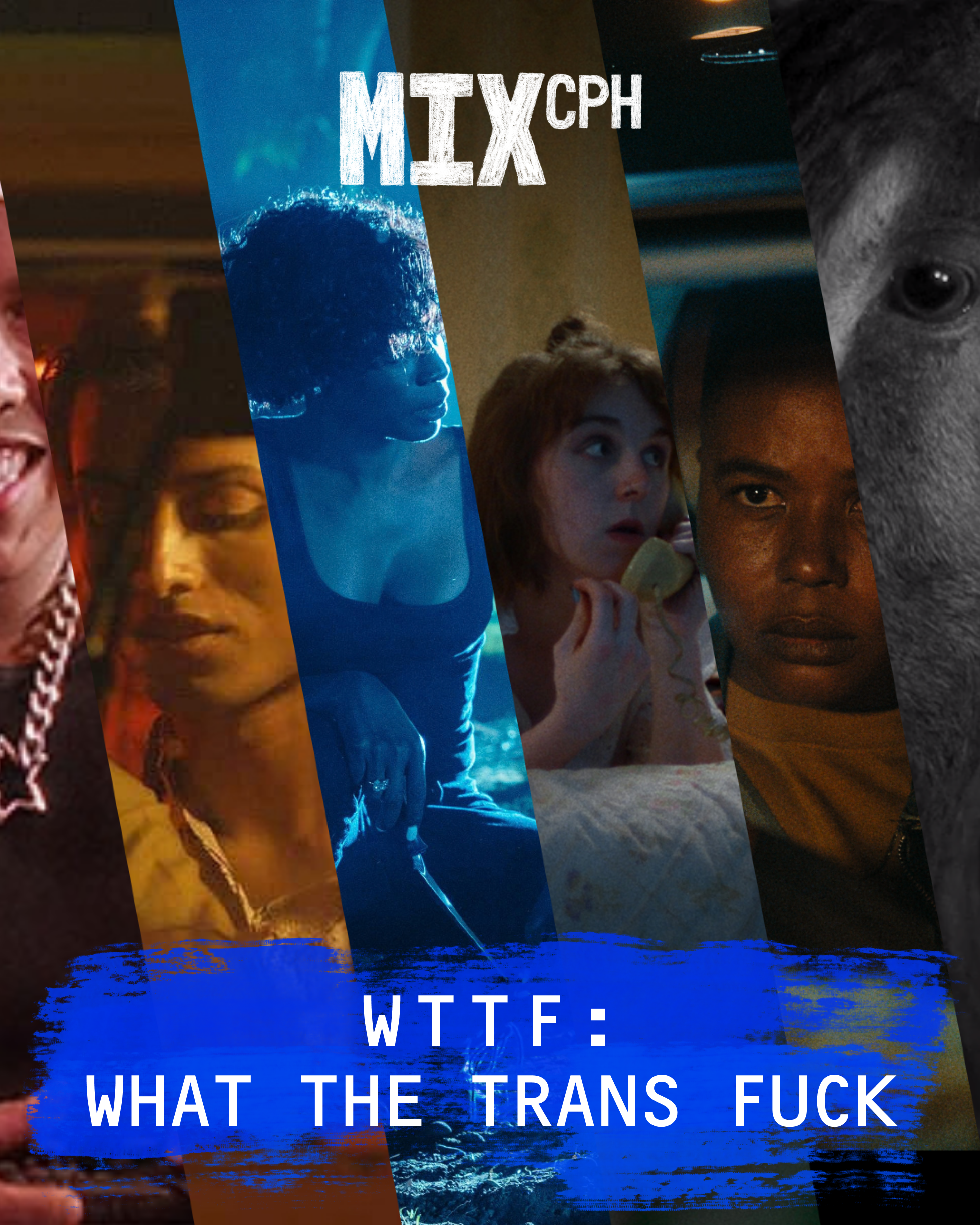 WTTF: What The Trans Fuck