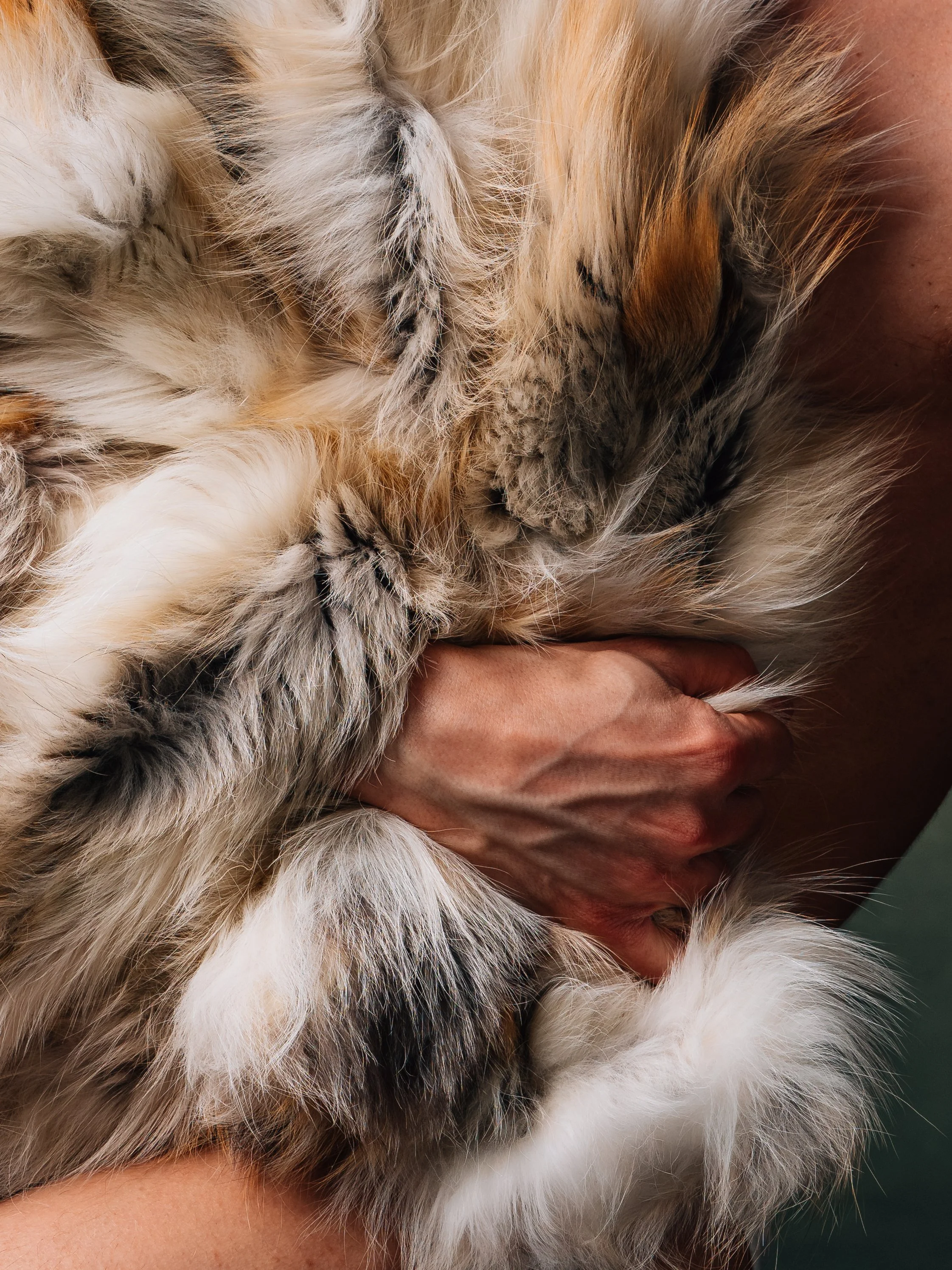 Shooting Francesco Bill Monteverde - Fashion Photoshoot e Rilettura Arte Figurativa Classica - Febbraio 2026 - Fujifilm GFX 50SII-046.jpg