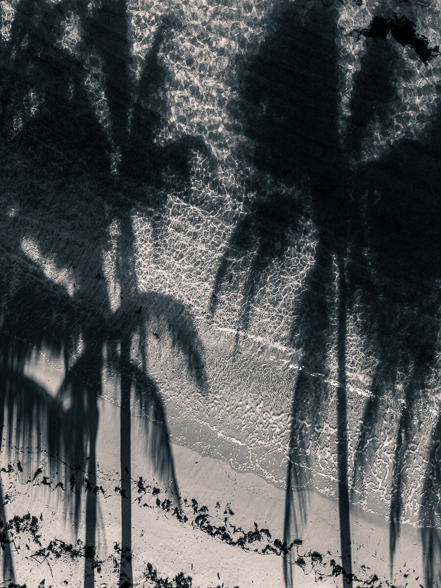 c6c76fa7-f304-42d3-886f-33e73ef00353.jpeg