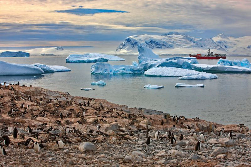 A vast landscape of Antarctica with numerous icebergs floating in the icy waters.